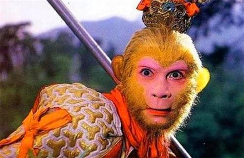 真假美猴王演员表,揭秘演员阵容，谁将演绎经典角色