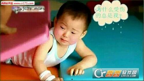 宋国民gif表情包,趣味横生的网络文化现象