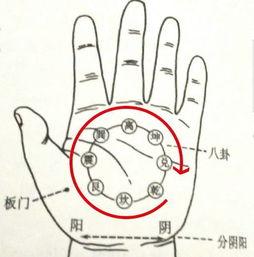 分推胸八卦,揭秘胸部健康与美丽之道