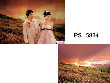 晓东主题背景网站,探索东方智慧，传承文化精髓