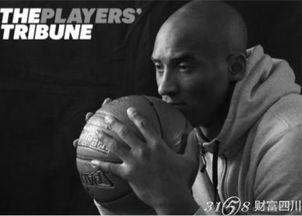 科比老婆的资料