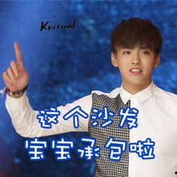 吴亦凡表情包评论,网络狂欢背后的文化现象